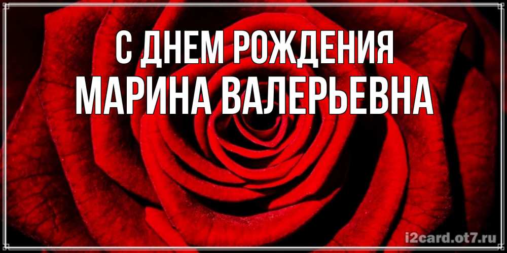 Открытка на каждый день с именем, Марина-Валерьевна С днем рождения алая роза Прикольная открытка с пожеланием онлайн скачать бесплатно 
