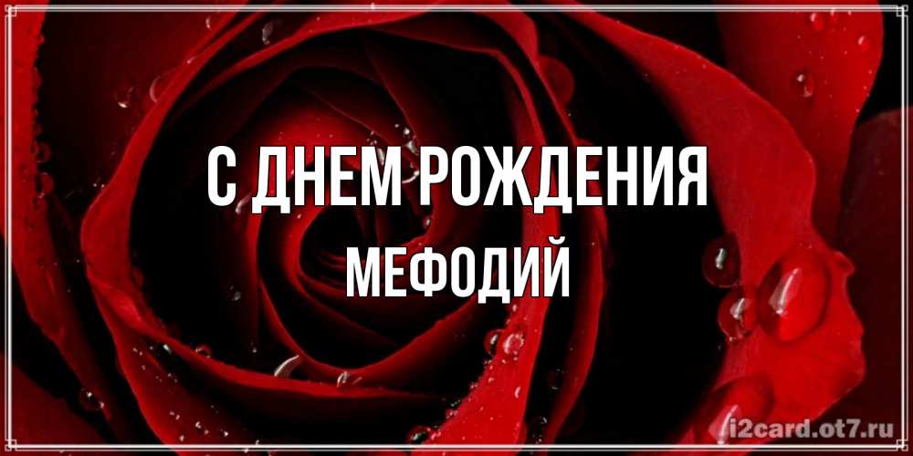 Открытка на каждый день с именем, Мефодий С днем рождения крупная бордовая роза Прикольная открытка с пожеланием онлайн скачать бесплатно 
