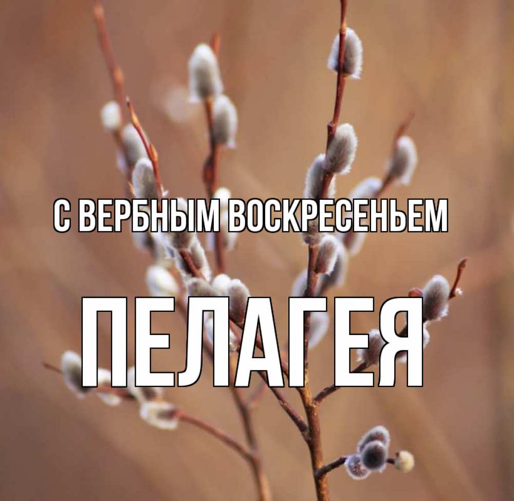 Открытка на каждый день с именем, Пелагея С вербным воскресеньем верба Прикольная открытка с пожеланием онлайн скачать бесплатно 