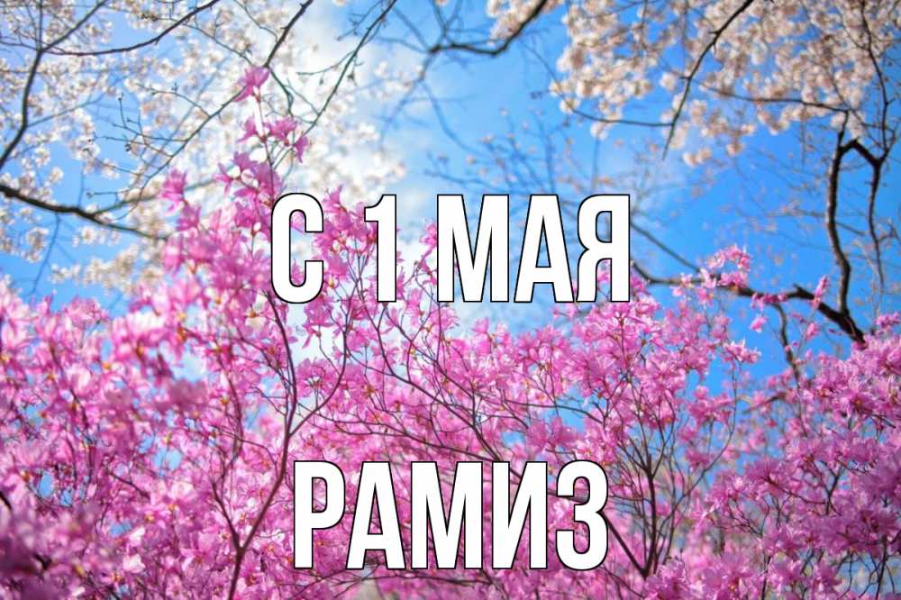 Открытка на каждый день с именем, Рамиз С 1 мая С 1 мая Прикольная открытка с пожеланием онлайн скачать бесплатно 