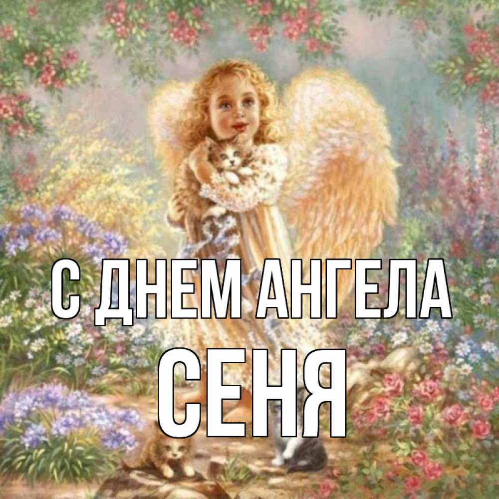 Открытка на каждый день с именем, Сеня С днем ангела держит котенка Прикольная открытка с пожеланием онлайн скачать бесплатно 