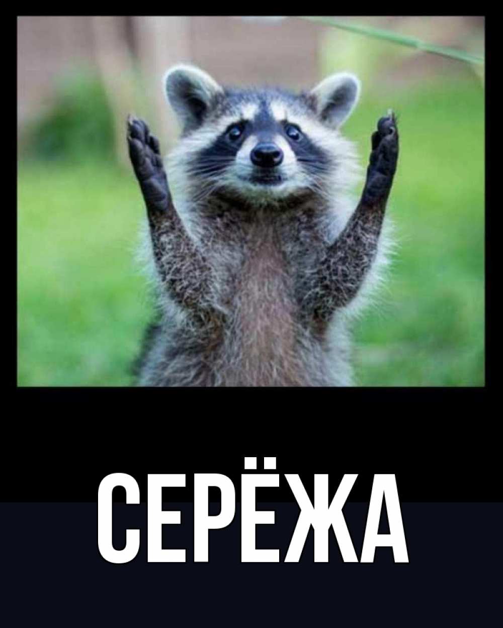 Открытка на каждый день с именем, Серёжа Главная хорошее настроение утречком Прикольная открытка с пожеланием онлайн скачать бесплатно 