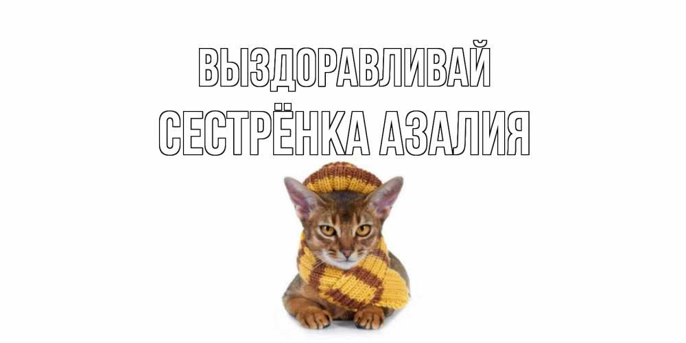 Открытка на каждый день с именем, Сестрёнка-Азалия Выздоравливай родные не болейте Прикольная открытка с пожеланием онлайн скачать бесплатно 