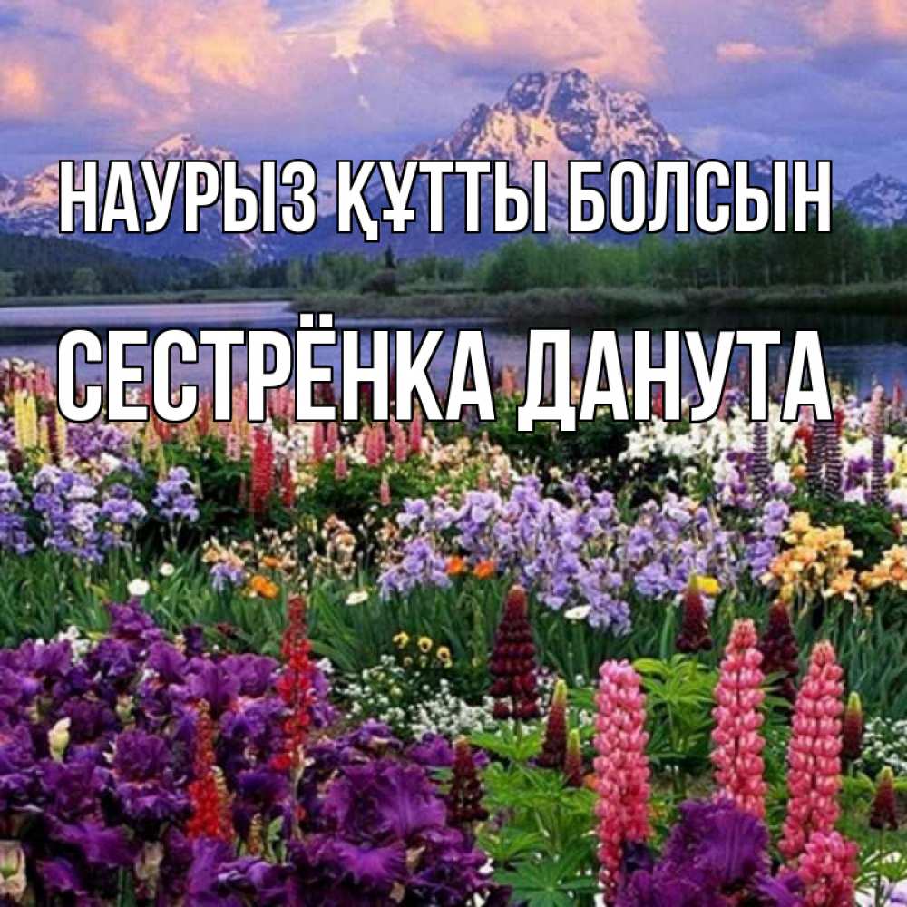 Открытка на каждый день с именем, Сестрёнка-Данута Наурыз құтты болсын наурыз Прикольная открытка с пожеланием онлайн скачать бесплатно 