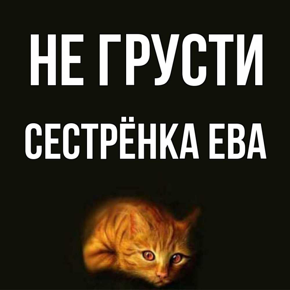 Открытка на каждый день с именем, Сестрёнка-Ева Не грусти лежащий кот в темноте Прикольная открытка с пожеланием онлайн скачать бесплатно 