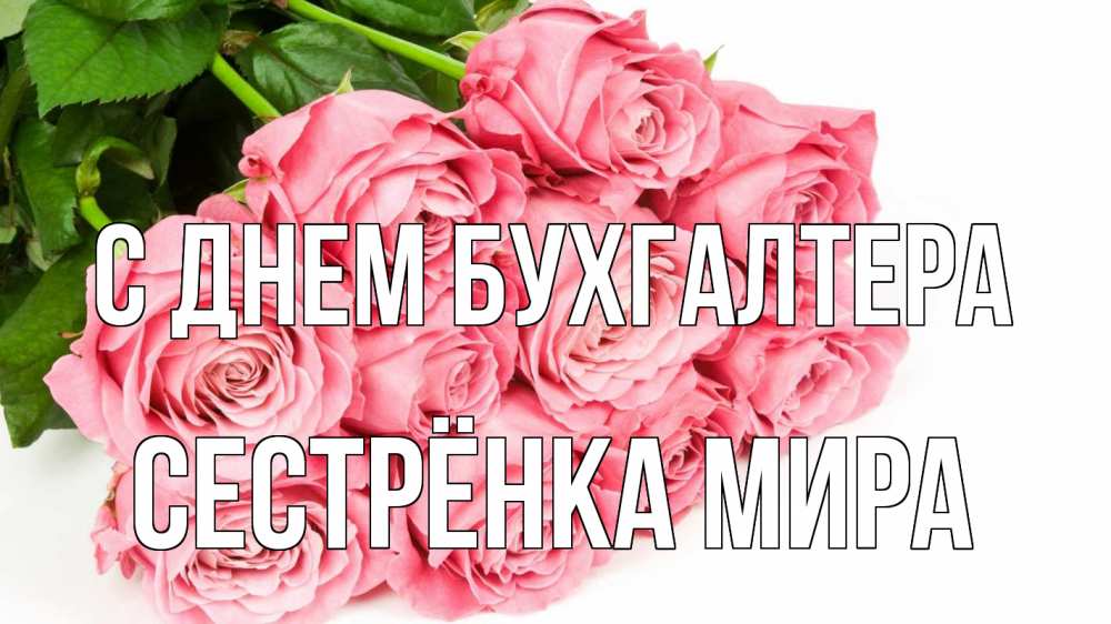 Открытка на каждый день с именем, Сестрёнка-Мира С днем бухгалтера с днем бухгалтера 2 Прикольная открытка с пожеланием онлайн скачать бесплатно 