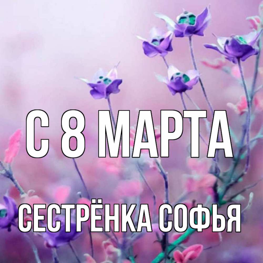 Открытка на каждый день с именем, Сестрёнка-Софья С 8 МАРТА международный женский день 2 Прикольная открытка с пожеланием онлайн скачать бесплатно 