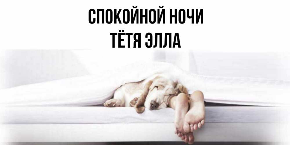 Открытка на каждый день с именем, Тётя-Элла Спокойной ночи кровать с собакой пожелание сладких снов и спокойной ночи Прикольная открытка с пожеланием онлайн скачать бесплатно 