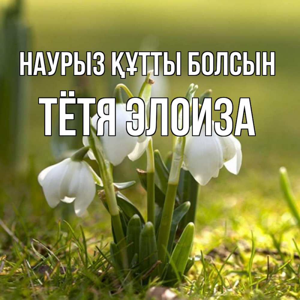 Открытка на каждый день с именем, Тётя-Элоиза Наурыз құтты болсын ранние цветы 2 Прикольная открытка с пожеланием онлайн скачать бесплатно 