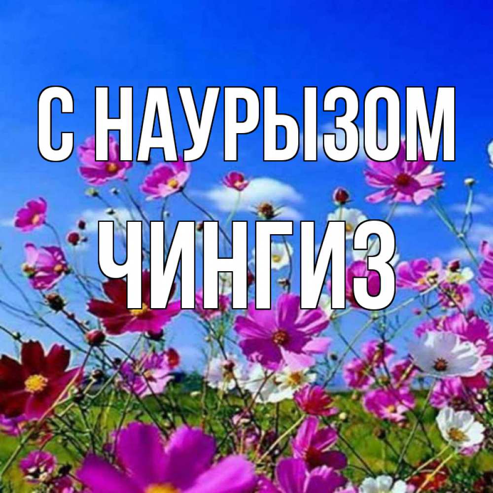 Открытка на каждый день с именем, Чингиз С наурызом цветы Прикольная открытка с пожеланием онлайн скачать бесплатно 