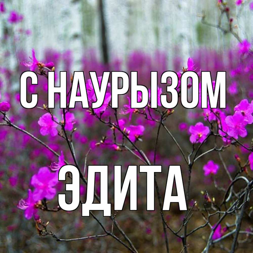 Открытка на каждый день с именем, Эдита С наурызом дикие цветы Прикольная открытка с пожеланием онлайн скачать бесплатно 