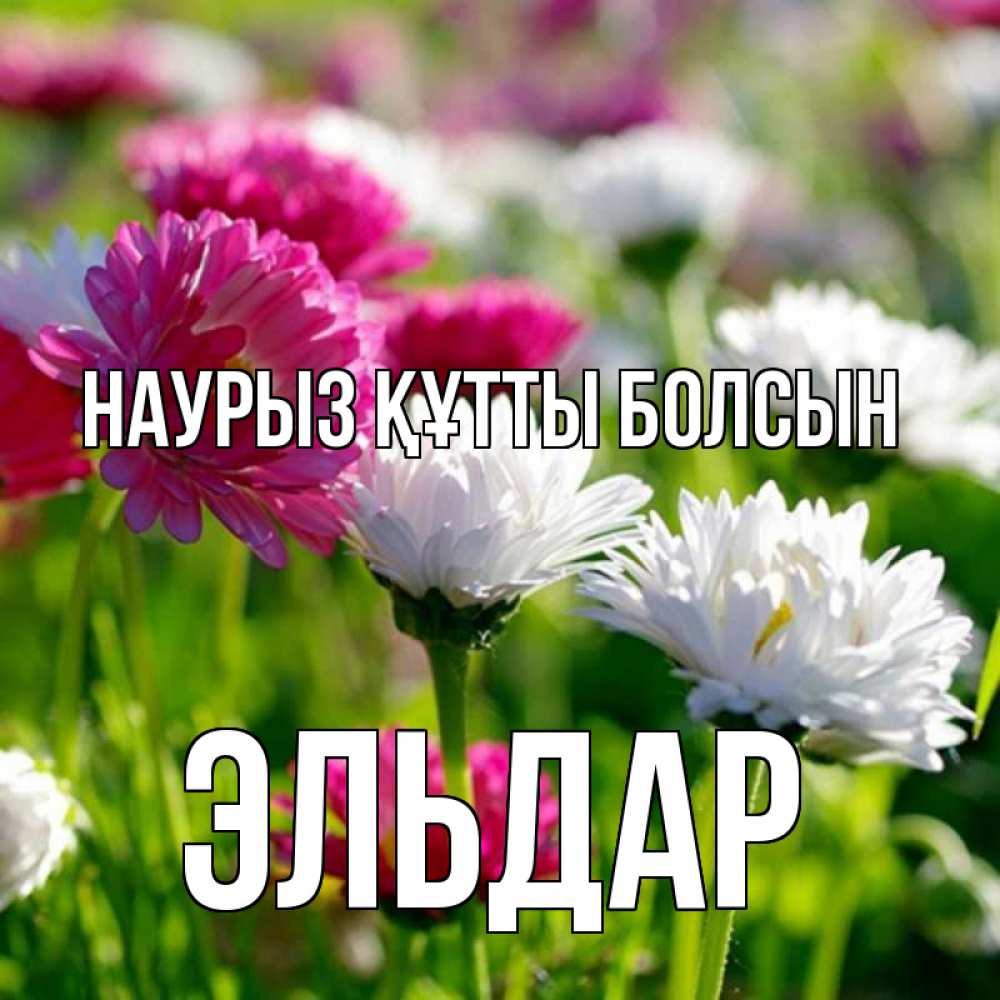 Открытка на каждый день с именем, Эльдар Наурыз құтты болсын наурыз Прикольная открытка с пожеланием онлайн скачать бесплатно 