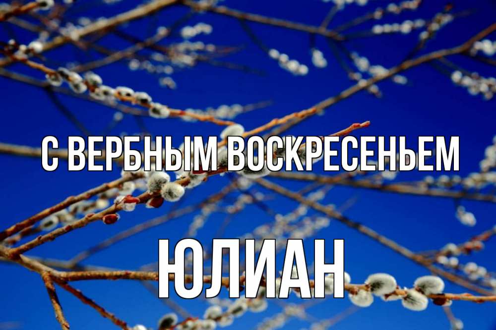 Открытка на каждый день с именем, Юлиан С вербным воскресеньем верба Прикольная открытка с пожеланием онлайн скачать бесплатно 