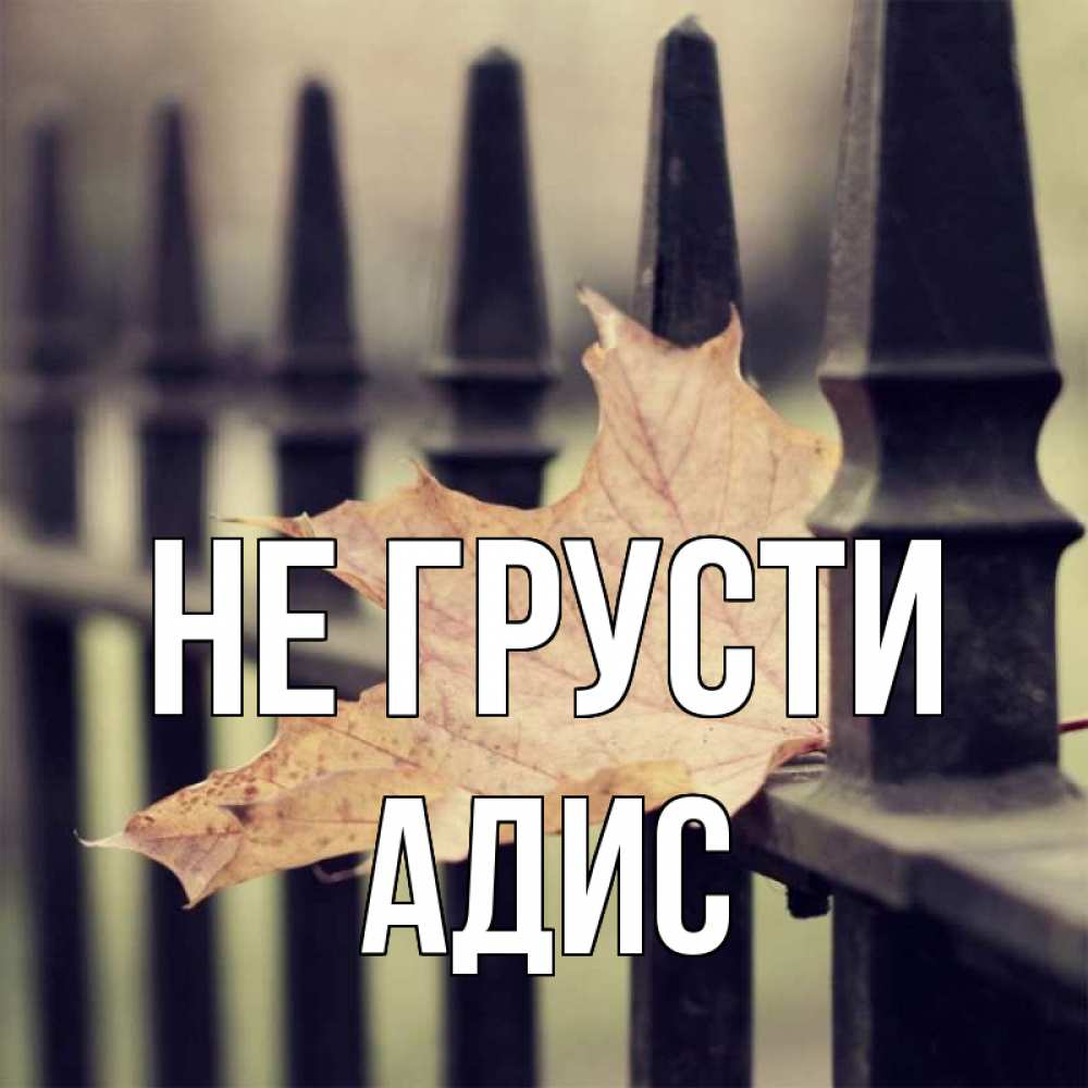 Открытка на каждый день с именем, Адис Не грусти лист клена Прикольная открытка с пожеланием онлайн скачать бесплатно 