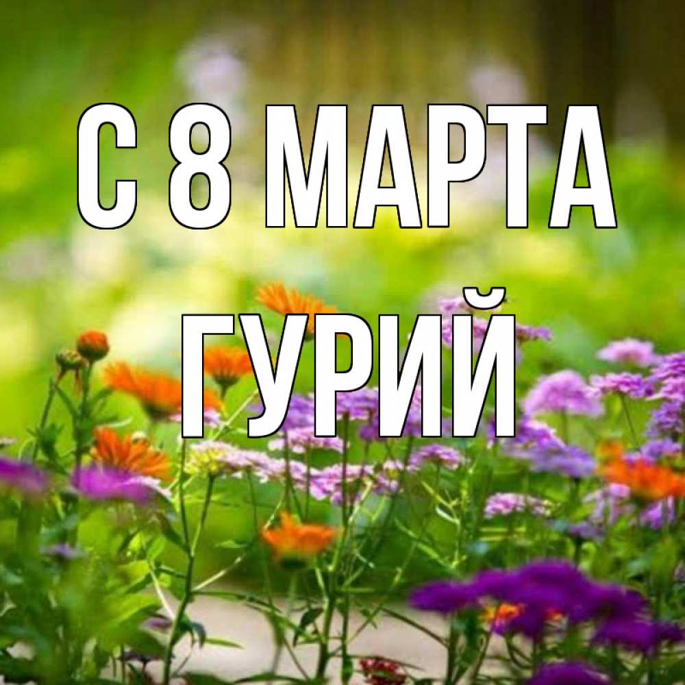 Открытка на каждый день с именем, Гурий С 8 МАРТА цветы Прикольная открытка с пожеланием онлайн скачать бесплатно 