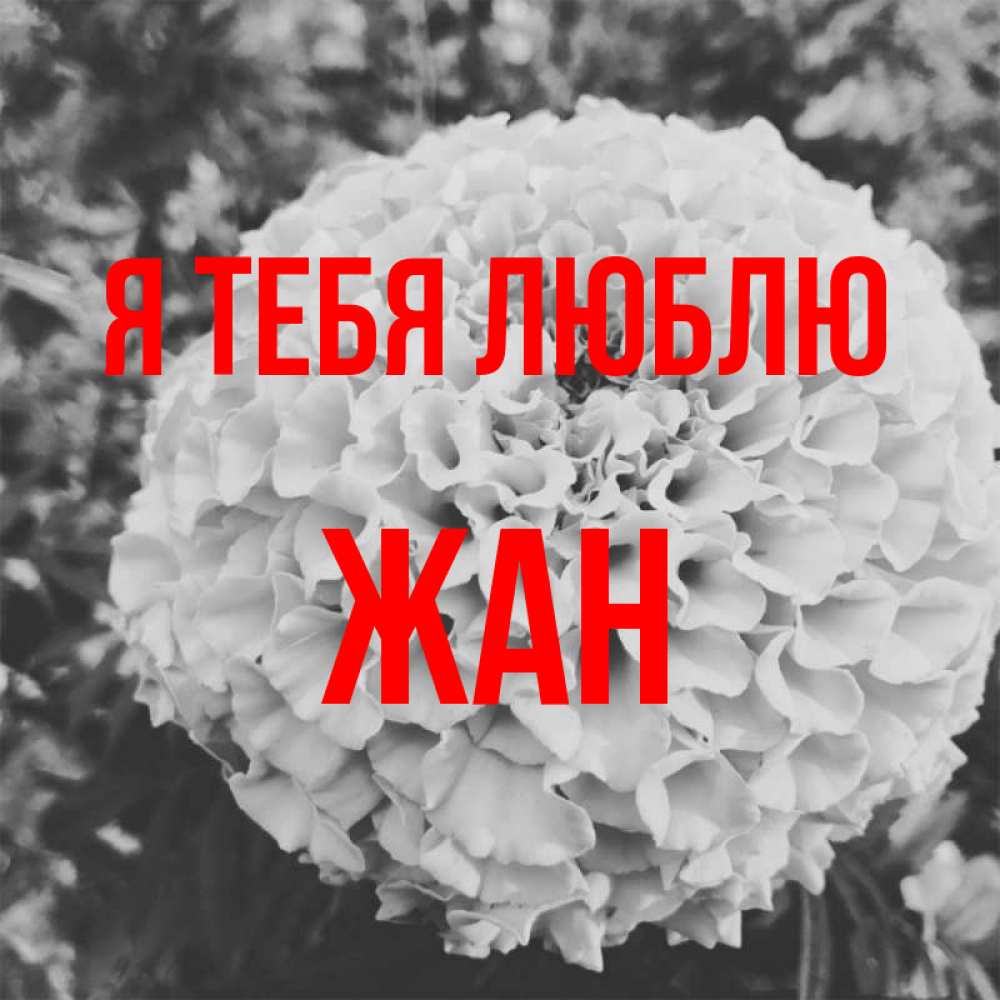 Открытка на каждый день с именем, Жан Я тебя люблю подпись Прикольная открытка с пожеланием онлайн скачать бесплатно 