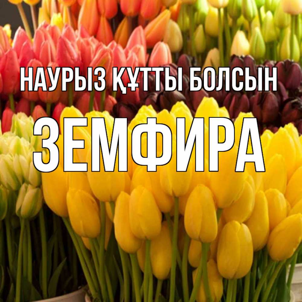 Открытка на каждый день с именем, Земфира Наурыз құтты болсын цветы Прикольная открытка с пожеланием онлайн скачать бесплатно 