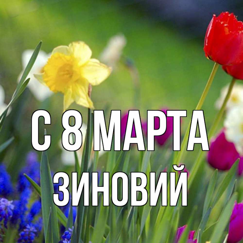 Открытка на каждый день с именем, Зиновий С 8 МАРТА международный женский день 3 Прикольная открытка с пожеланием онлайн скачать бесплатно 