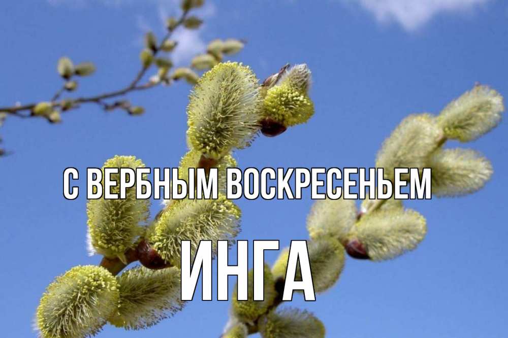 Открытка на каждый день с именем, Инга С вербным воскресеньем верба Прикольная открытка с пожеланием онлайн скачать бесплатно 