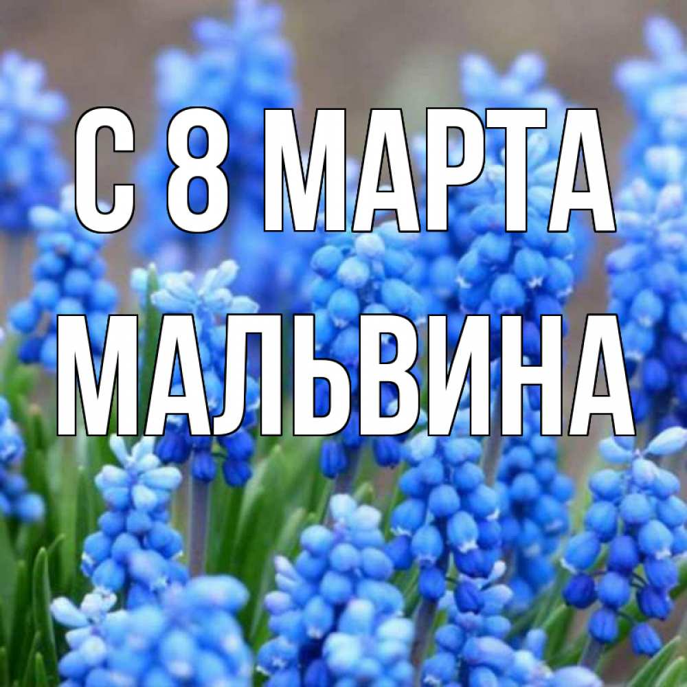 Открытка на каждый день с именем, Мальвина С 8 МАРТА Поздравительная открытка для женщин с цветами на праздничную дату Прикольная открытка с пожеланием онлайн скачать бесплатно 