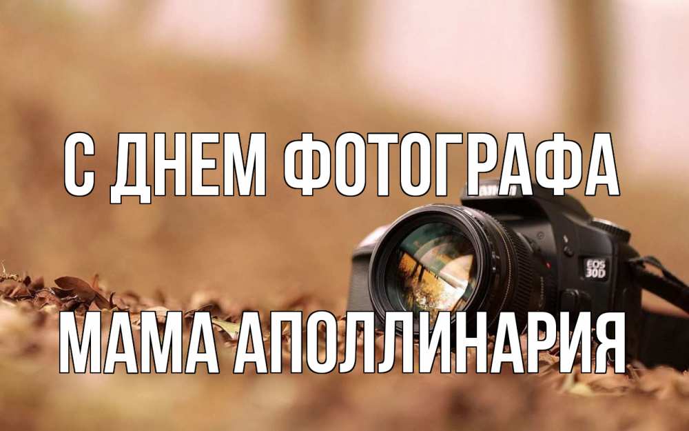 Открытка на каждый день с именем, Мама-Аполлинария С днем фотографа с днем фотографа Прикольная открытка с пожеланием онлайн скачать бесплатно 