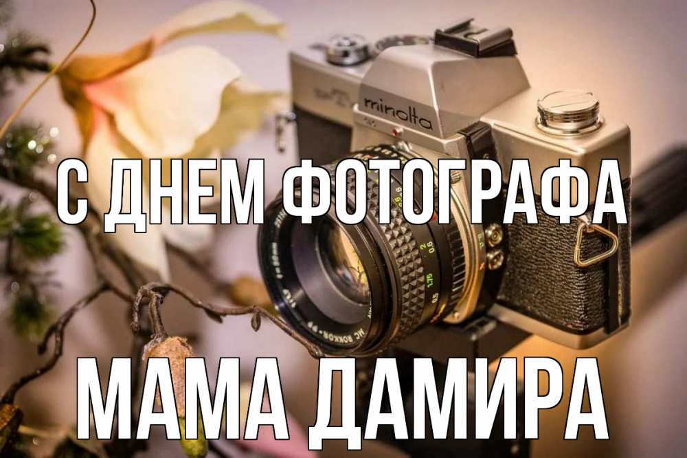 Открытка на каждый день с именем, Мама-Дамира С днем фотографа с днем фотографа 1 Прикольная открытка с пожеланием онлайн скачать бесплатно 
