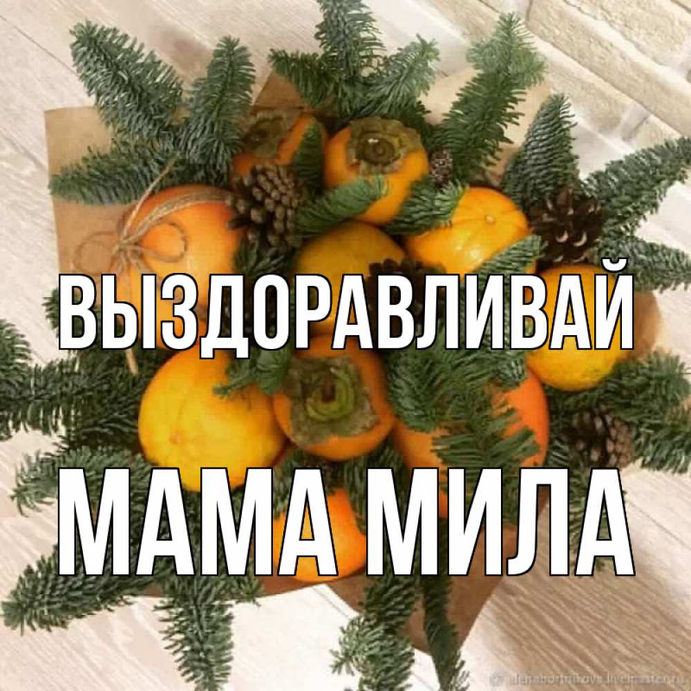 Открытка на каждый день с именем, Мама-Мила Выздоравливай апельсины и хурьма Прикольная открытка с пожеланием онлайн скачать бесплатно 