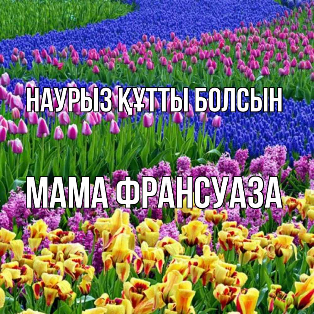 Открытка на каждый день с именем, Мама-Франсуаза Наурыз құтты болсын цветы Прикольная открытка с пожеланием онлайн скачать бесплатно 