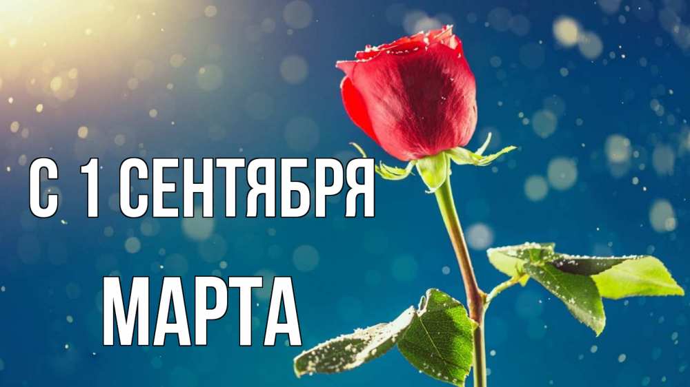 Открытка на каждый день с именем, Марта С 1 сентября с днем знаний Прикольная открытка с пожеланием онлайн скачать бесплатно 