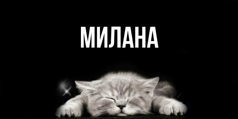 Открытка на каждый день с именем, Милана Главная спящий котик Прикольная открытка с пожеланием онлайн скачать бесплатно 