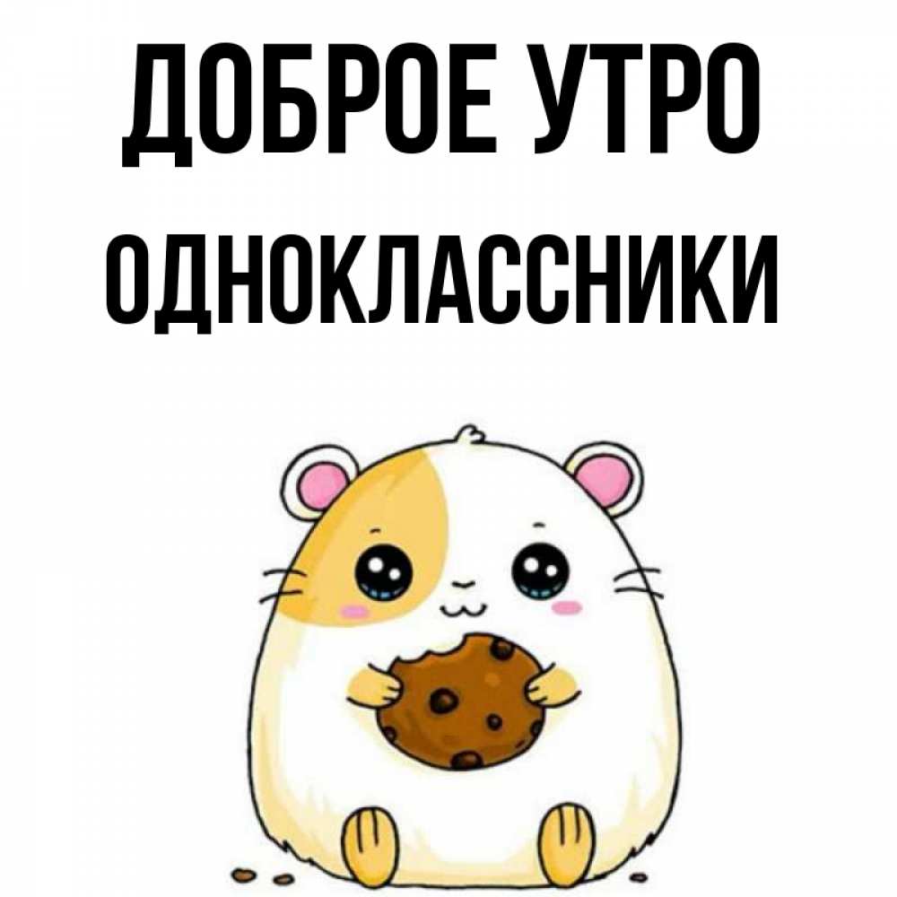 Открытка на каждый день с именем, ОДНОКЛАССНИКИ Доброе утро есть печеньку. Утречко Прикольная открытка с пожеланием онлайн скачать бесплатно 