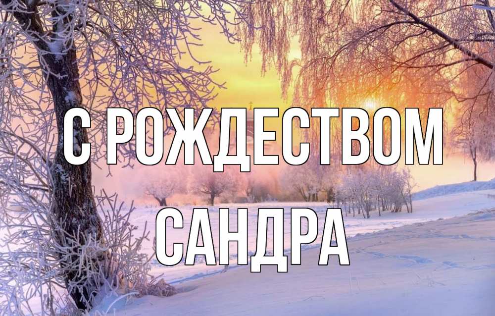 Открытка на каждый день с именем, Сандра С рождеством рождество, лес, зима 1 Прикольная открытка с пожеланием онлайн скачать бесплатно 