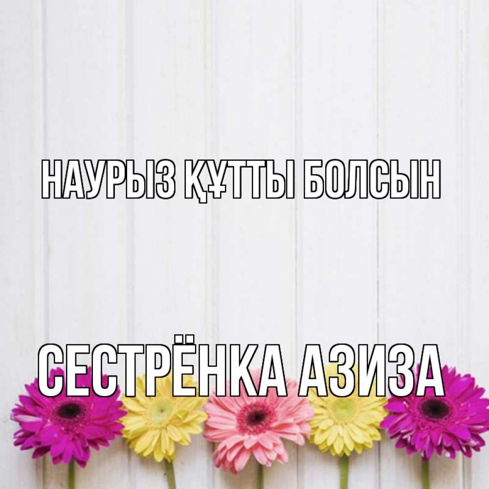 Открытка на каждый день с именем, Сестрёнка-Азиза Наурыз құтты болсын женщинам 1 Прикольная открытка с пожеланием онлайн скачать бесплатно 