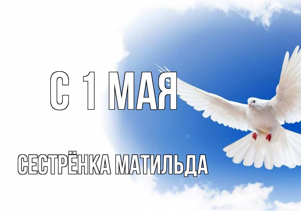 Открытка на каждый день с именем, Сестрёнка-Матильда С 1 мая С 1 мая Прикольная открытка с пожеланием онлайн скачать бесплатно 