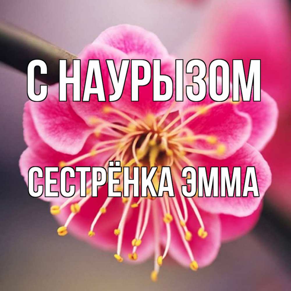 Открытка на каждый день с именем, Сестрёнка-Эмма С наурызом цветы Прикольная открытка с пожеланием онлайн скачать бесплатно 