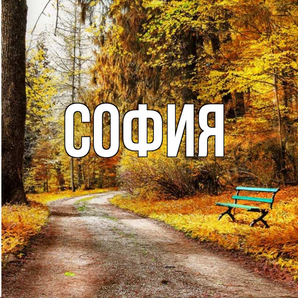 Открытка на каждый день с именем, София Главная зеленая лавочка Прикольная открытка с пожеланием онлайн скачать бесплатно 