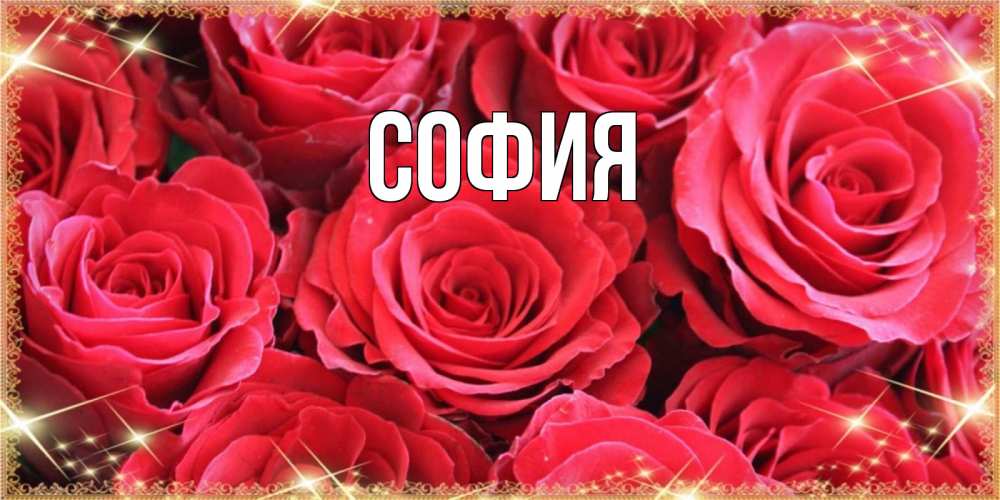 Открытка на каждый день с именем, София Главная открытки на наурыз Прикольная открытка с пожеланием онлайн скачать бесплатно 