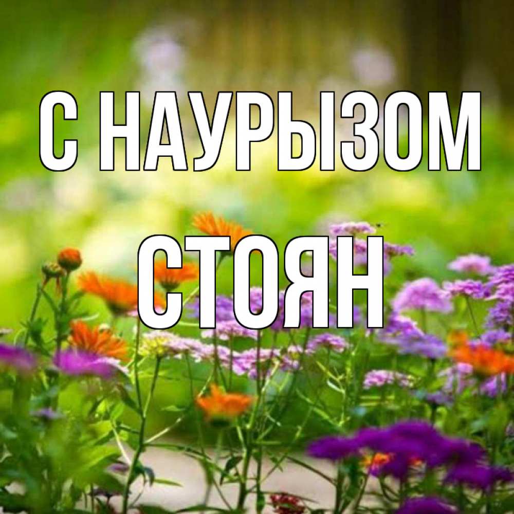 Открытка на каждый день с именем, Стоян С наурызом цветы Прикольная открытка с пожеланием онлайн скачать бесплатно 