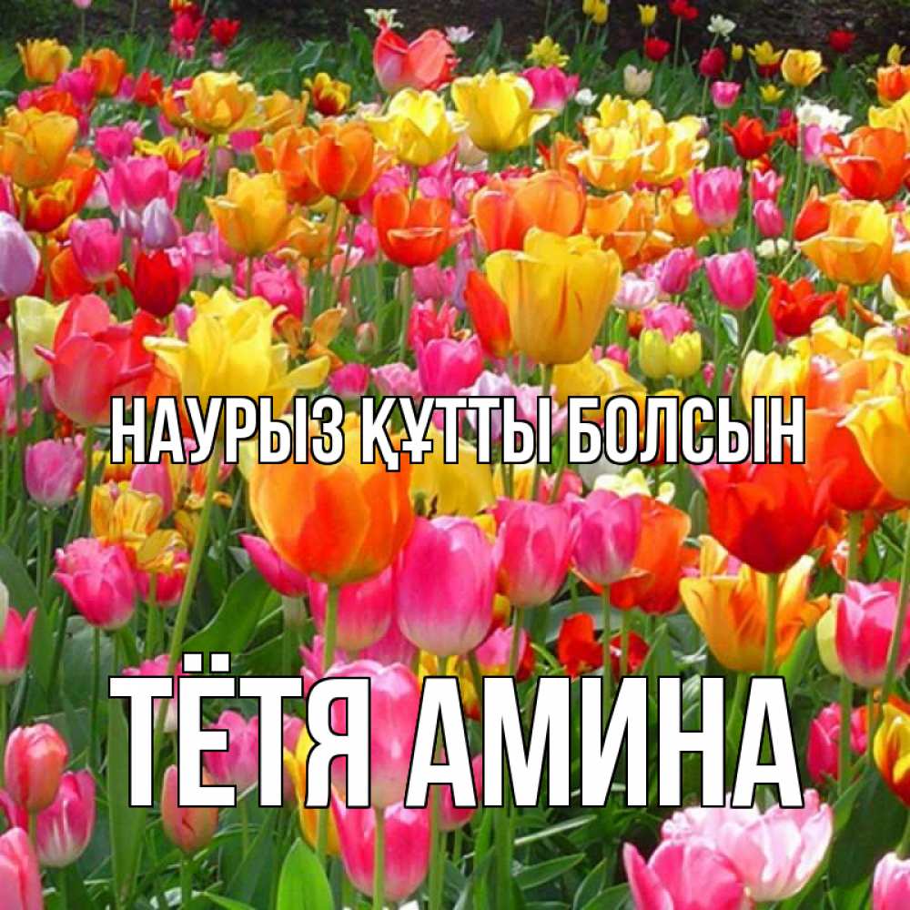 Открытка на каждый день с именем, Тётя-Амина Наурыз құтты болсын на наурыз  ура ура Прикольная открытка с пожеланием онлайн скачать бесплатно 