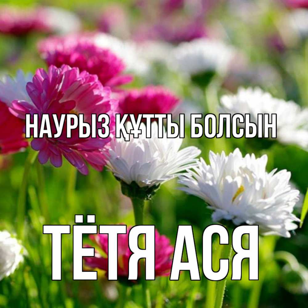 Открытка на каждый день с именем, Тётя-Ася Наурыз құтты болсын наурыз Прикольная открытка с пожеланием онлайн скачать бесплатно 