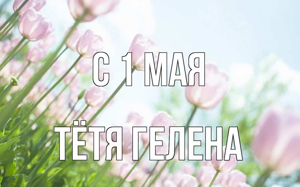 Открытка на каждый день с именем, Тётя-Гелена С 1 мая С 1 мая Прикольная открытка с пожеланием онлайн скачать бесплатно 