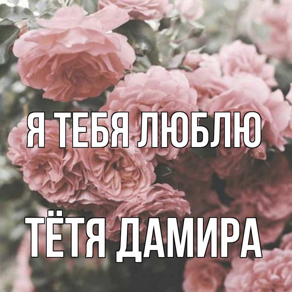 Открытка на каждый день с именем, Тётя-Дамира Я тебя люблю розы 3 Прикольная открытка с пожеланием онлайн скачать бесплатно 