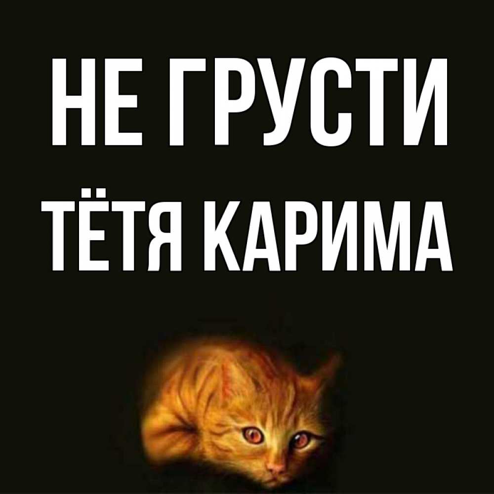 Открытка на каждый день с именем, Тётя-Карима Не грусти лежащий кот в темноте Прикольная открытка с пожеланием онлайн скачать бесплатно 