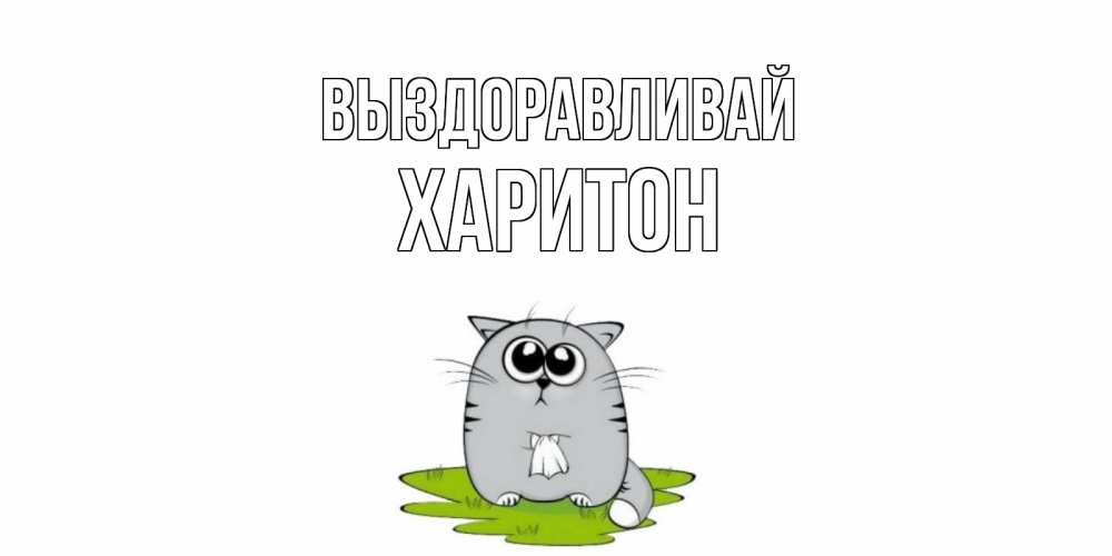 Открытка на каждый день с именем, Харитон Выздоравливай кот и открытки про выздоровление Прикольная открытка с пожеланием онлайн скачать бесплатно 