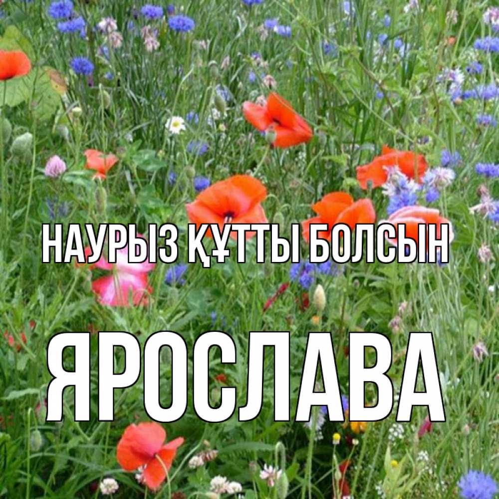 Открытка на каждый день с именем, Ярослава Наурыз құтты болсын наурыз  4 Прикольная открытка с пожеланием онлайн скачать бесплатно 