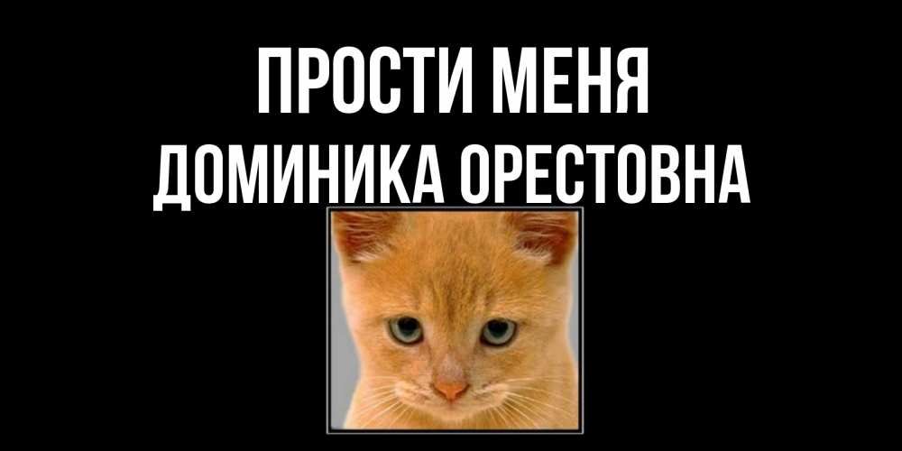 Открытка на каждый день с именем, Доминика-Орестовна Прости меня рыжий грустный кот просит прощения Прикольная открытка с пожеланием онлайн скачать бесплатно 