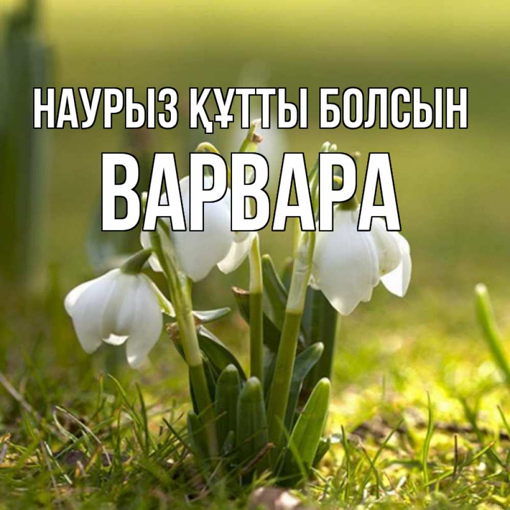 Открытка на каждый день с именем, Варвара Наурыз құтты болсын ранние цветы 2 Прикольная открытка с пожеланием онлайн скачать бесплатно 