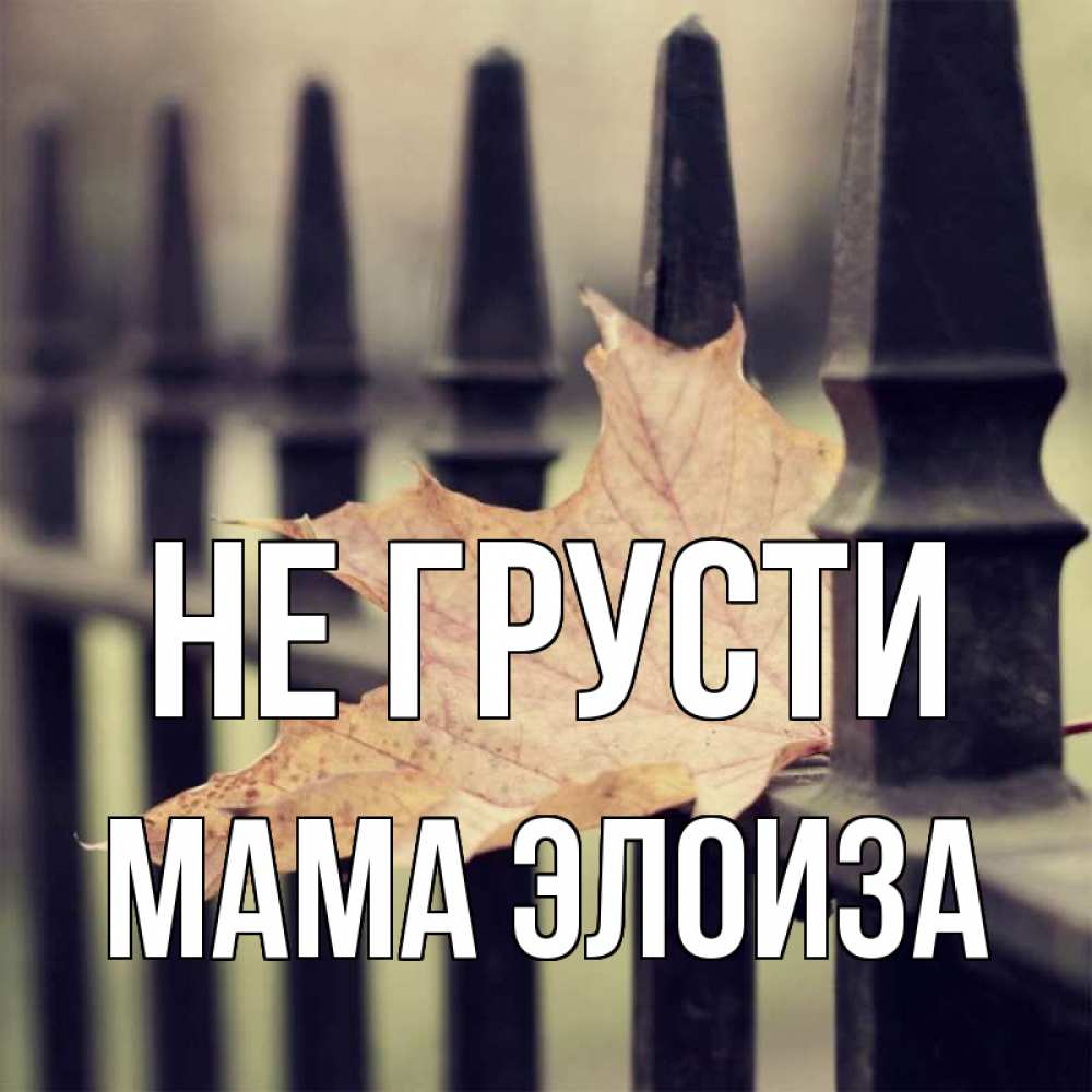 Открытка на каждый день с именем, Мама-Элоиза Не грусти лист клена Прикольная открытка с пожеланием онлайн скачать бесплатно 