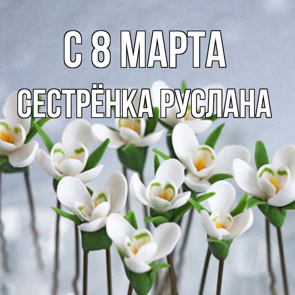 Открытка на каждый день с именем, Сестрёнка-Руслана С 8 МАРТА весенние цветы Прикольная открытка с пожеланием онлайн скачать бесплатно 