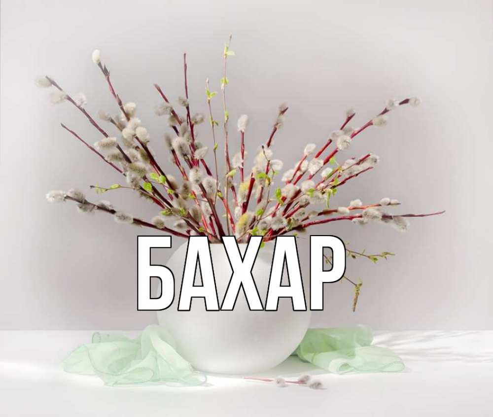 Открытка на каждый день с именем, Бахар Главная верба Прикольная открытка с пожеланием онлайн скачать бесплатно 